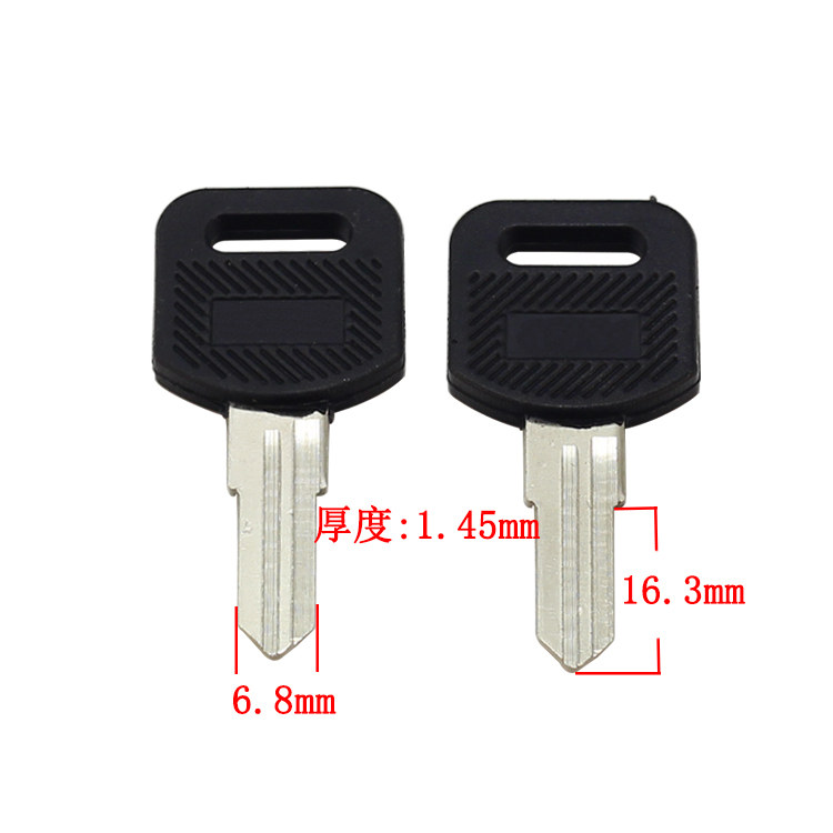 Home Security Key - Llaves en blanco con ranura izquierda