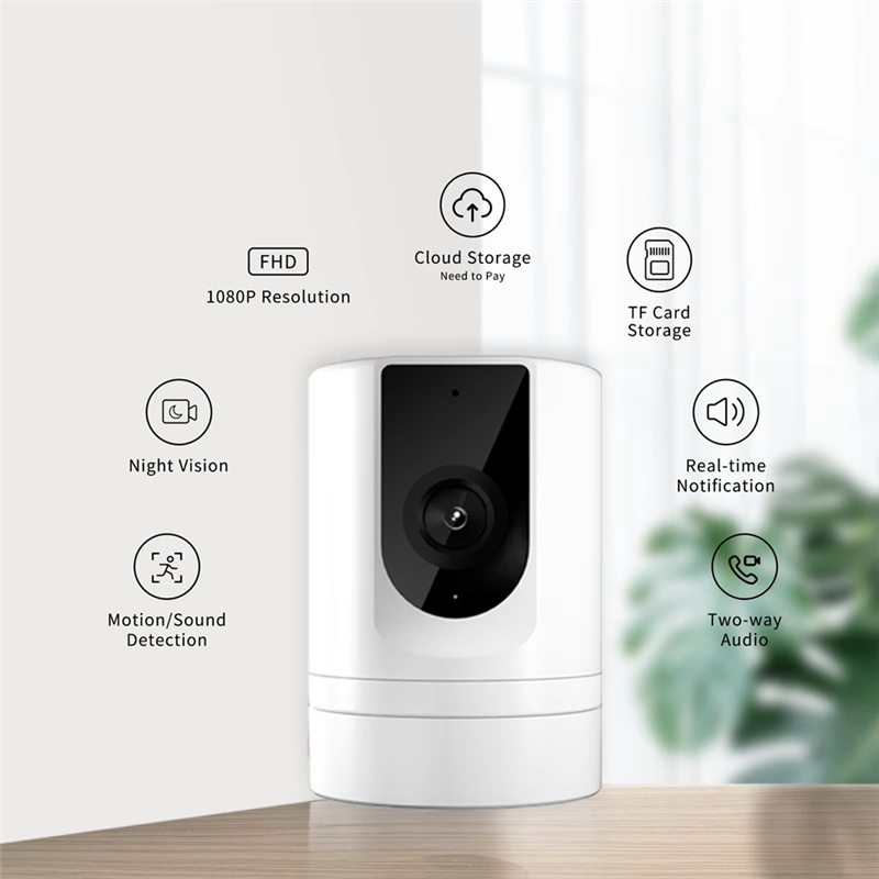 Cámara de seguridad SEWS-2PC 1 - Home Security Video Cameras reseña y precio