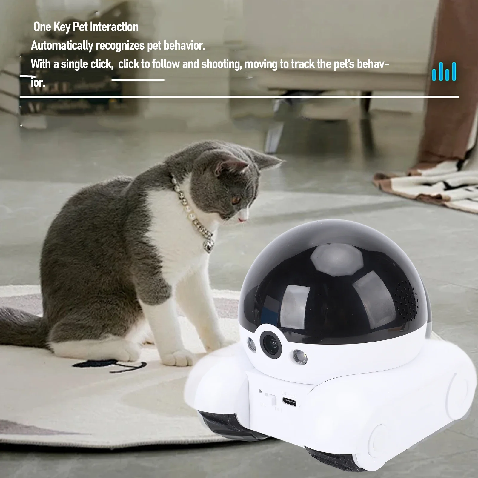 Cámara de Seguridad Interior d - Home Security Images reseña y precio