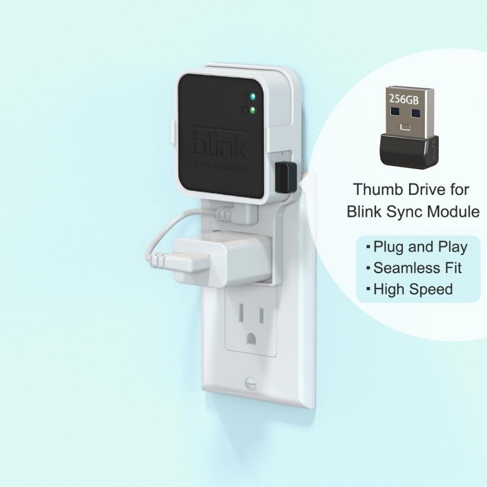 Unidad flash USB de 256 GB con - Home Security Images reseña y precio