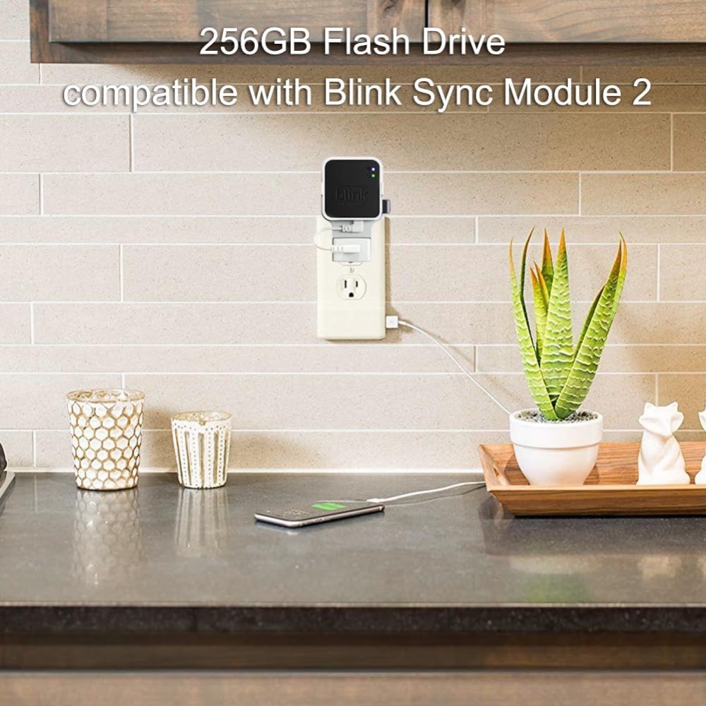Unidad flash USB de 256 GB con - Home Security Images reseña y precio