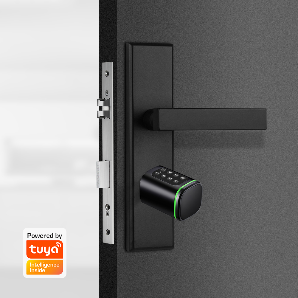 Cerradura de cilindro intelige - Home Security Key reseña y precio